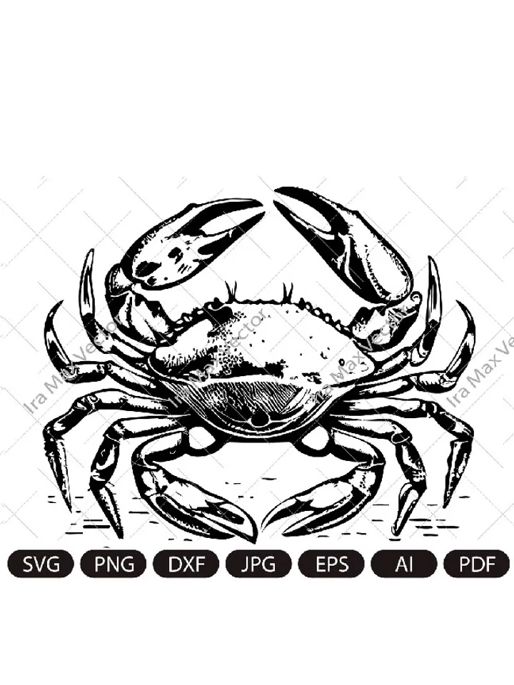 Crab Svg, King Crab SVG, Sea Animal SVG, Crab Silhouette, Crab Clipart, Crab Legs SVG, Cut File Cricut, Crab SIlhouette, Crab detailed
