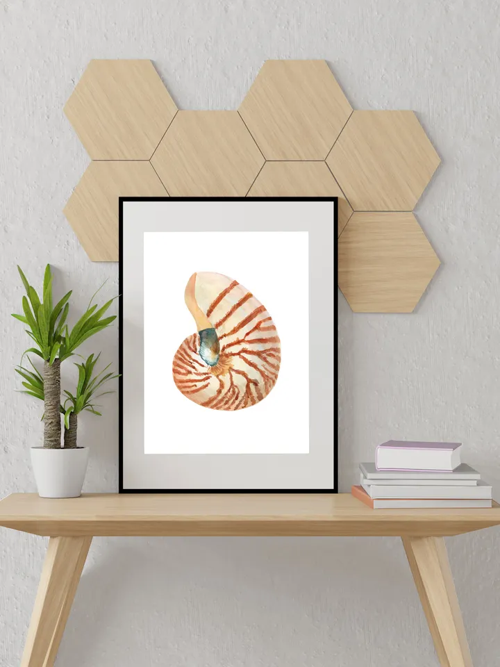 Shells, Shell art,Sea Shell Art, Shell Decor, Beach Cottage Art, Sea Shells Painting, Marine, Coastal Decor, Beach House art, Beach Artt,