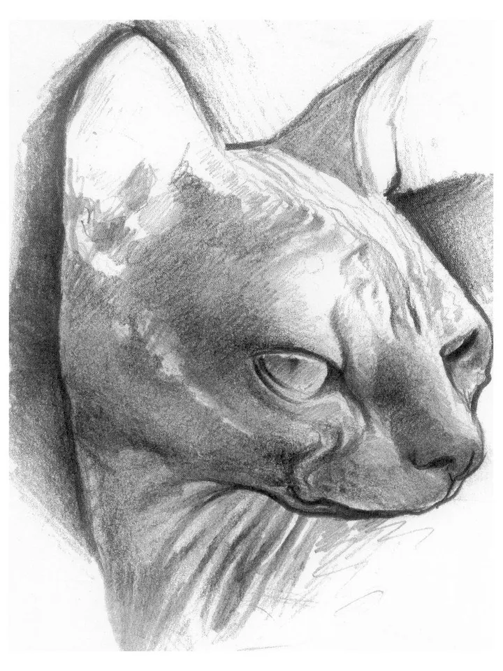 Jack Ribeiro - Dark sketchbook Vol.2
