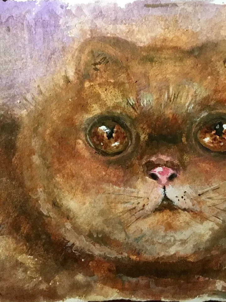 Fat cat original watercolour painting,persian cat painting fluffy red cat watercolour painting,unique handmade gift for cat lovers.