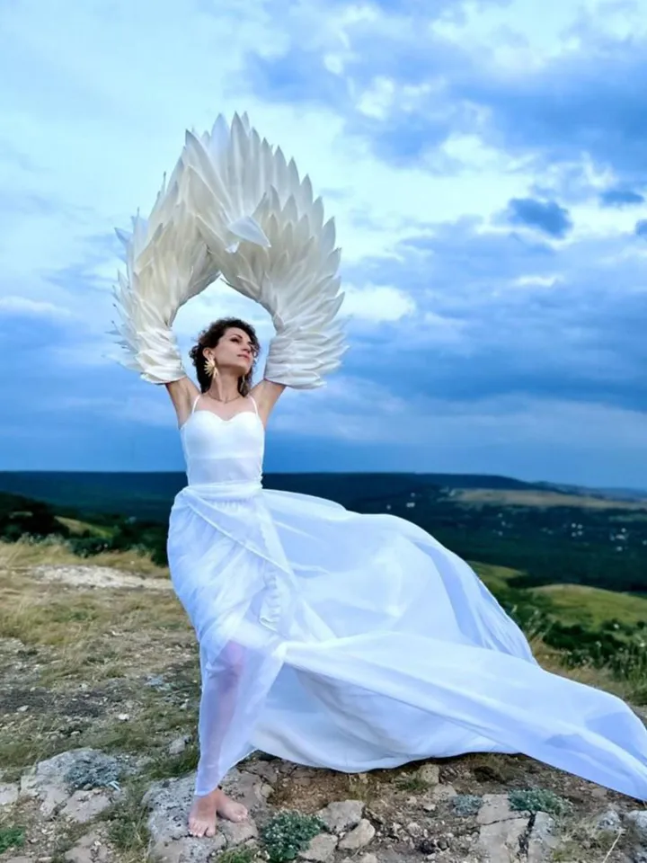 White wings, Christmas wings, sleeves, arms wings, gloves, poultry wings, swan