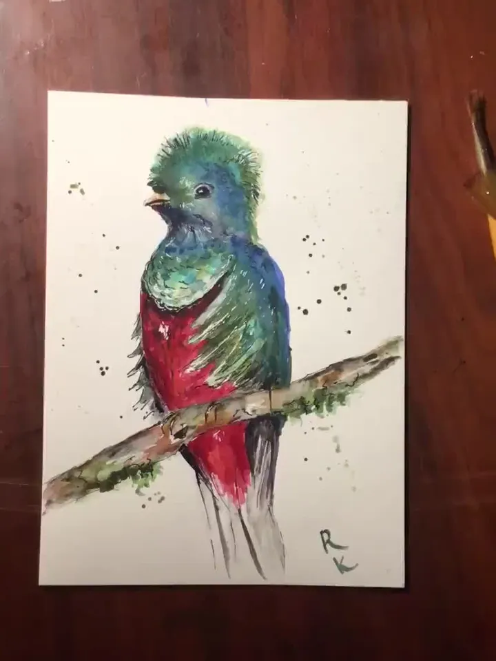 Quetzal bird original watercolour painting,exotic birds painting,watercolor birds wall art,small painting gift,original birds painting.