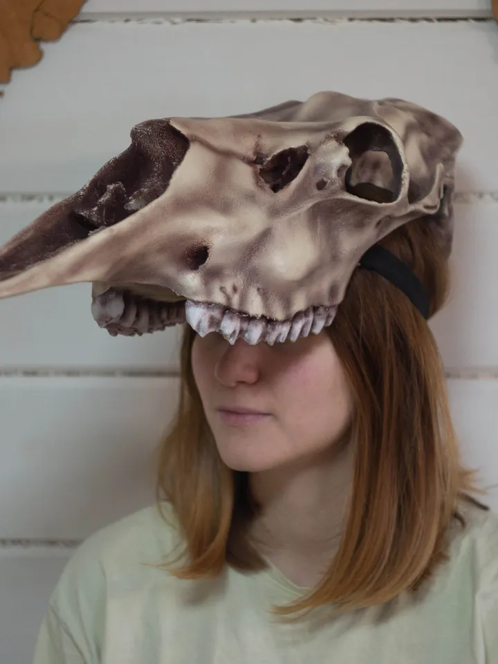 Moose Skull mask | Elk Skull | tribal headpiece | Headpiece skull | ritual mask | pagan headdress | Realistic Skull Mask |real animal skull