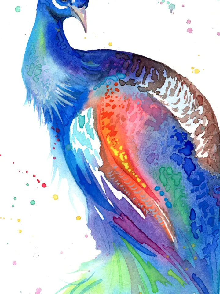 Peacock original watercolor, birds painting, wall decor, 7x10 in art for bird lovers by Anne Gorywine