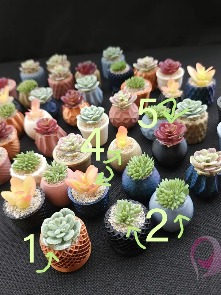 Mini Plant Magnet Tiny Macrame Succulent Hanging Locker Magnet Unique Gift Plant Lover Kitchen Decor Cute Fridge Magnet Gift Under 10