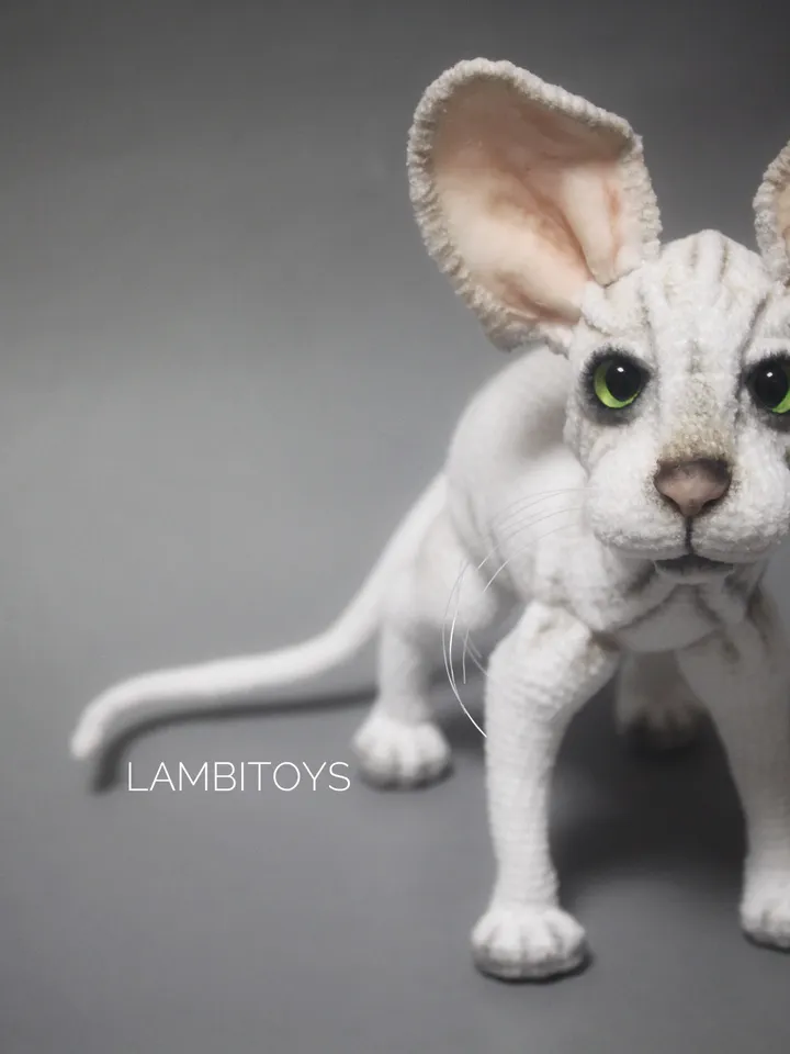 Interior cat sphinx
