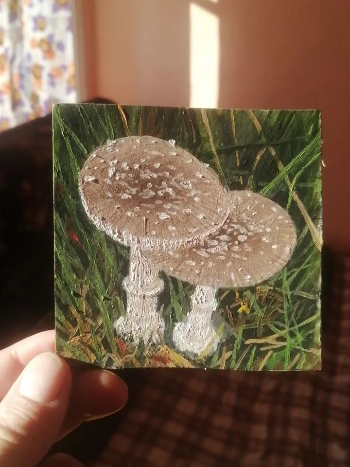 Miniature painting: Mushroom Fly Agaric. Painted with oil paints. Size 95 x 95 mm