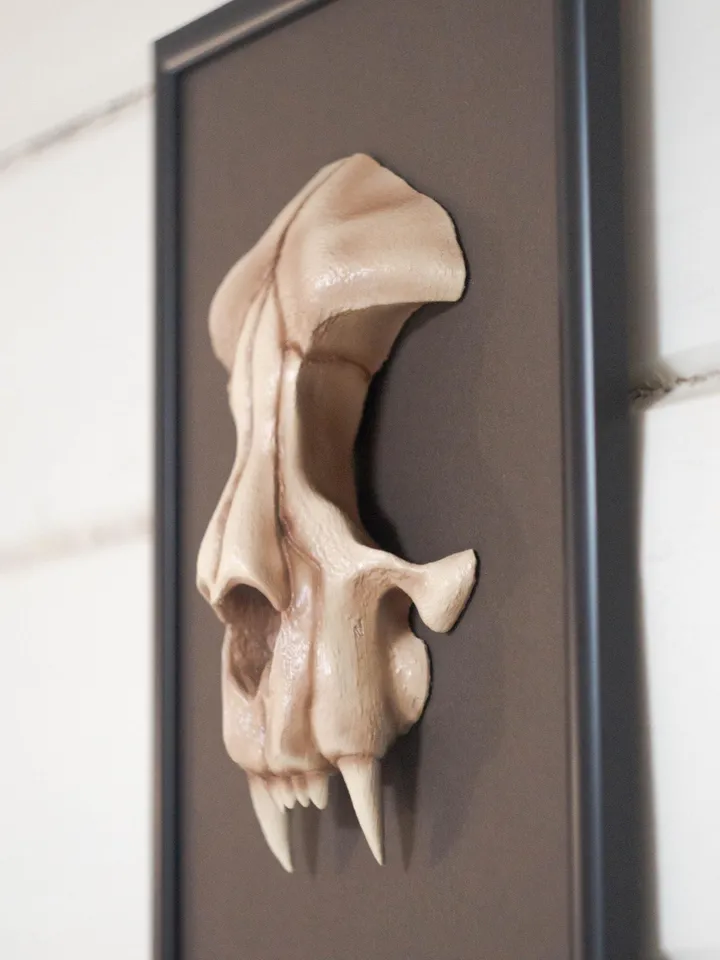 Wall-Mounted Sculpture with cat skull, framed skull, wall sculpture, Frame art, Faux Cat Skull Taxidermy