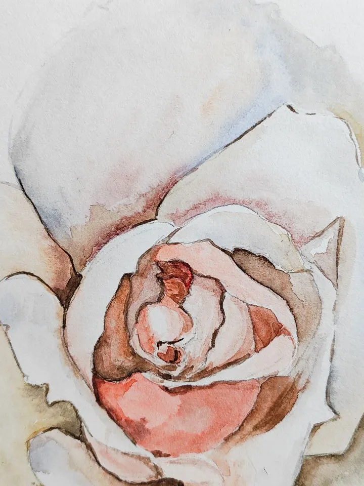 White Rose painting original watercolor art plant floral artwork flower