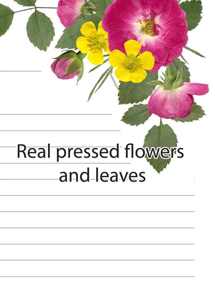 Pressed Flowers Printable Letter Writing Paper From Real Dried Plants, Letter Paper, Cute Stationery Set, Digital Letter Writing Set