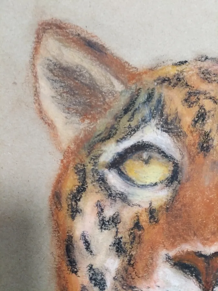 Leopard Painting in pastel on paper