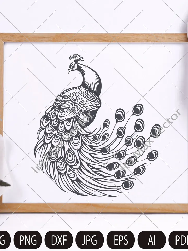 Peacock Svg, Peacock detailed, Peacock clipart, Peacock png, Peacock sketch, Cute Peacock, Bird
