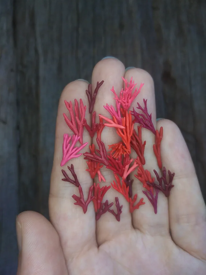 Set of miniature corals shades of red, tiny corals for diorama, dollhouse or resin art