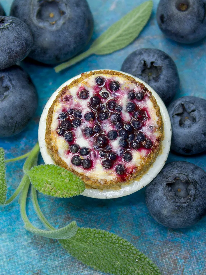 TUTORIAL Miniature blueberry cheesecake with polymer clay | PDF + video