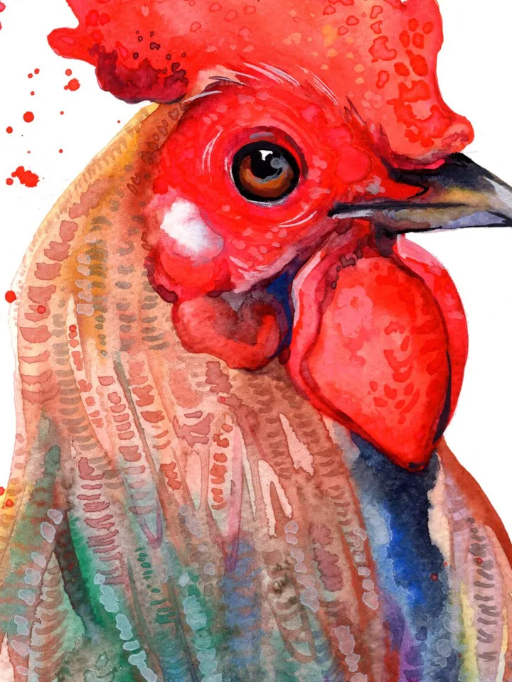 Rooster Original watercolor, farm bird painting, bird lover gift, wall decor, 8x11 in handmade birds art by Anne Gorywine