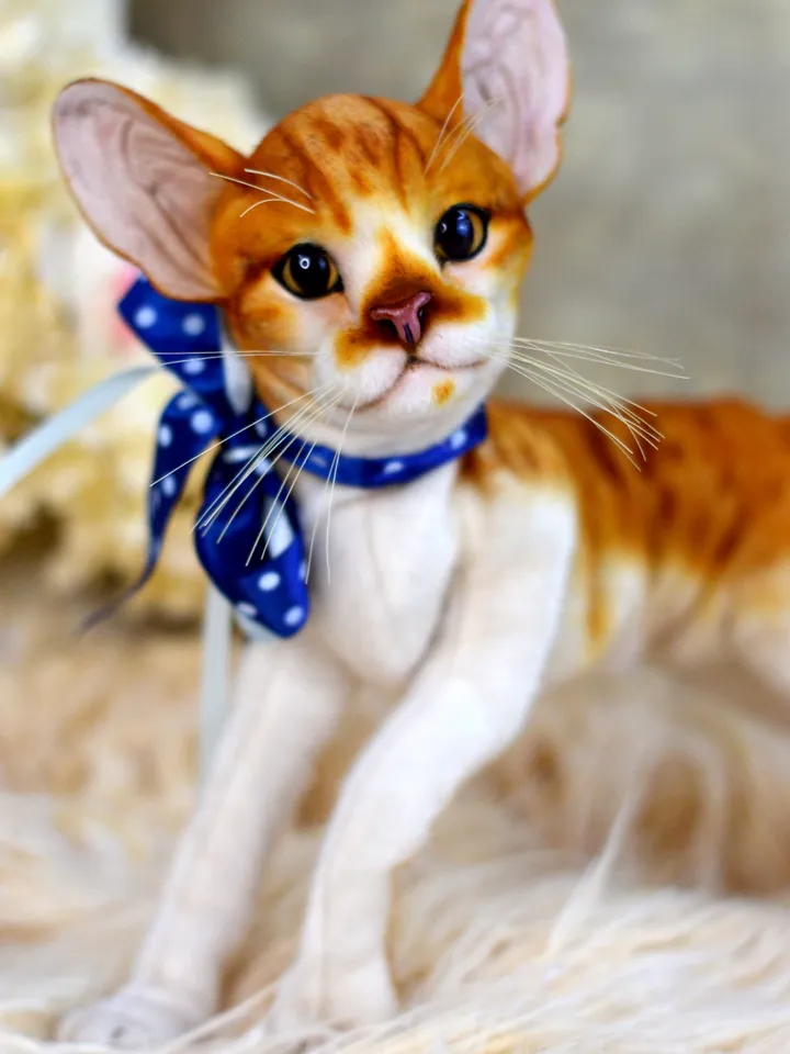Realistic Stuffed Cat Toy - Portrait of a Domestic Plush Toy - Stuffed Cat - OOAK - Kitty Aurora