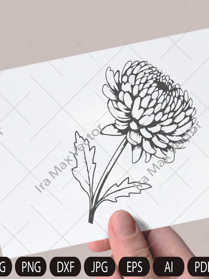 Chrysanthemum Clipart/Line Chrysanthemum Clipart/Autumn Flower/Flower Line Art/Floral Clipart/Hand Drawn Flower Clipart/Line Flower/Garden