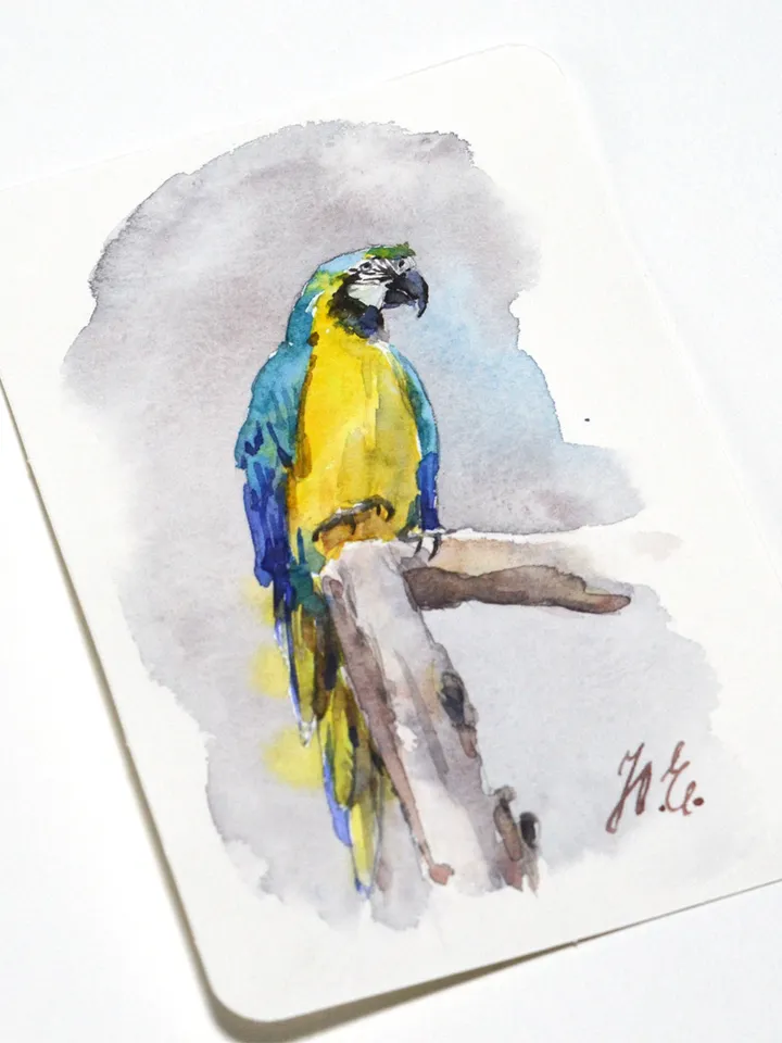 Parrot in watercolor Small original painting Watercolor postcard by Yulia Evsyukova