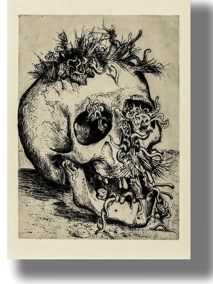Otto Dix artwork. Human Skull. Illustration from the series horrors of war.