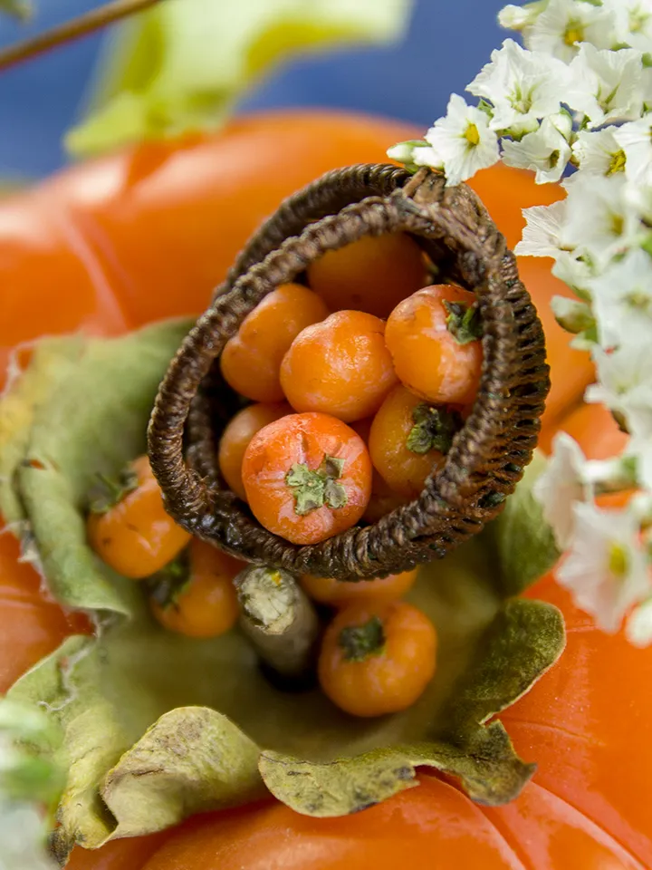 TUTORIAL Miniature persimmon with polymer clay