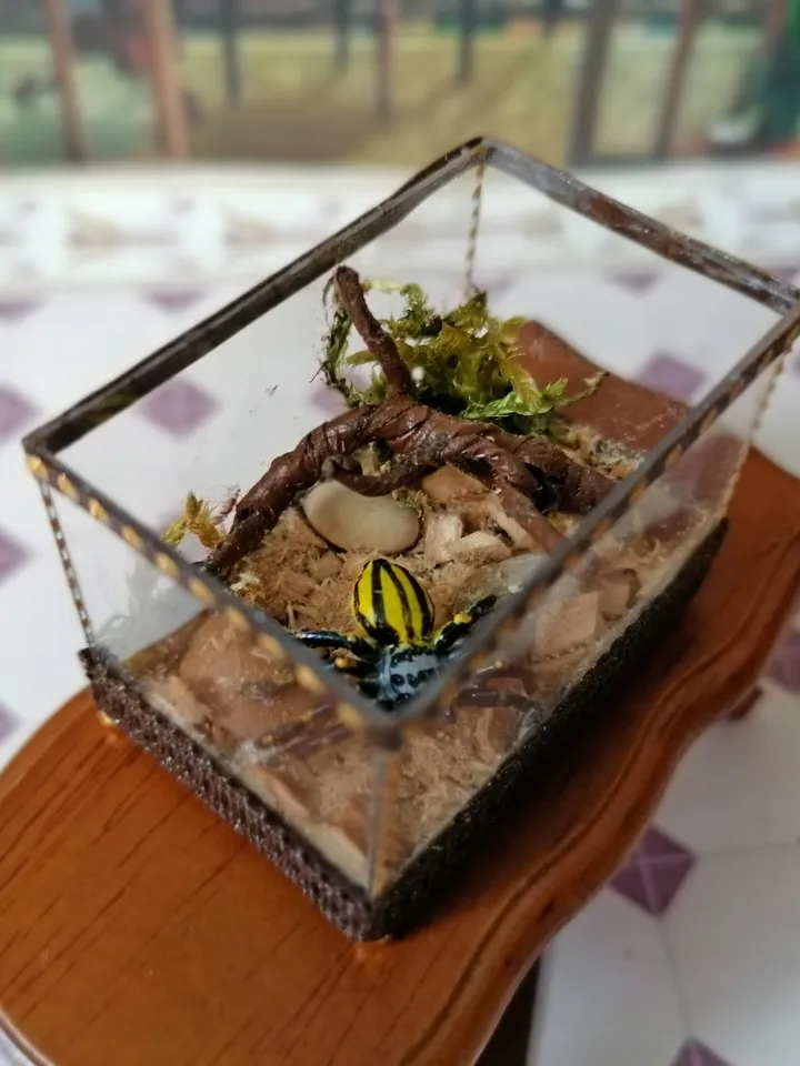 Terrarium. Spider cage. Puppet miniature.1:12 scale.