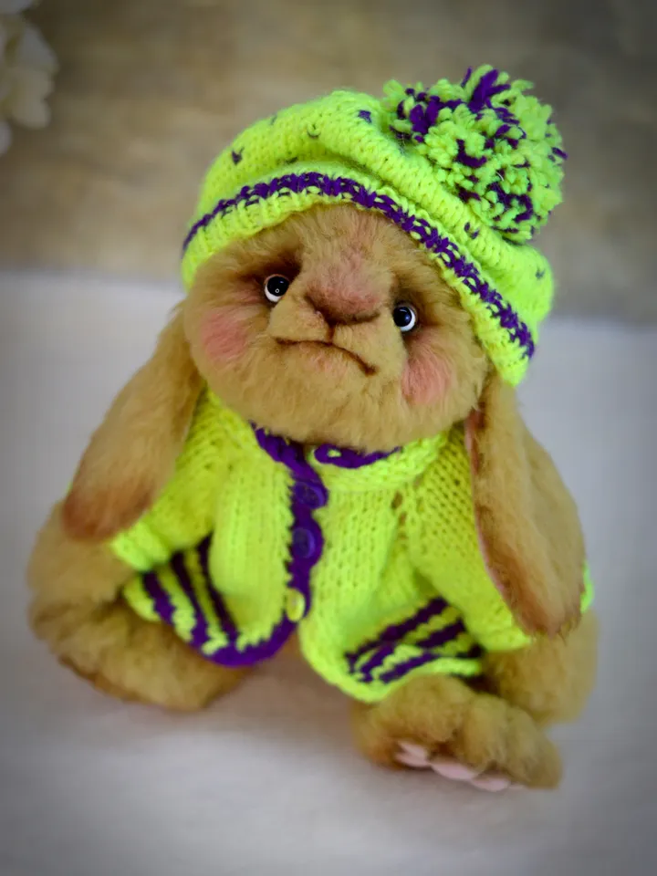Teddy bunny, a soft toy