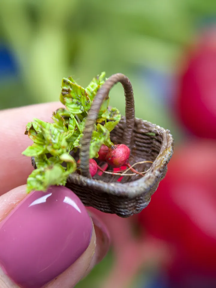 TUTORIAL Miniature radish with polymer clay