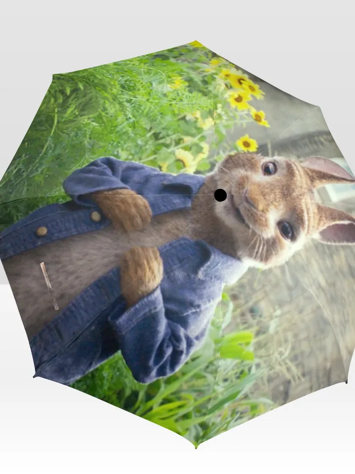 Peter Rabbit Umbrella
