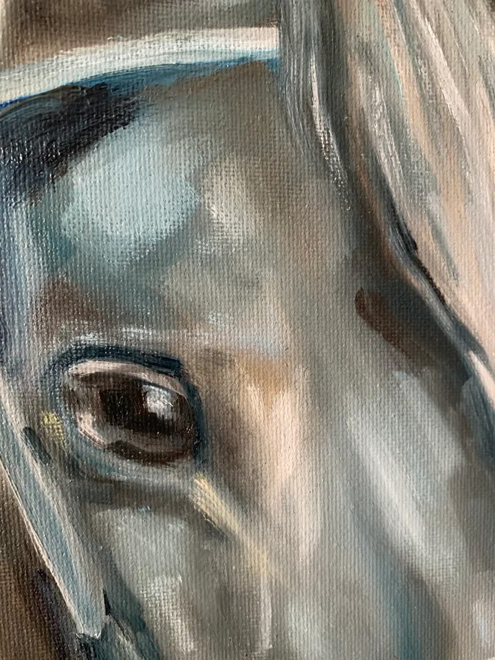 Horse oil original painting