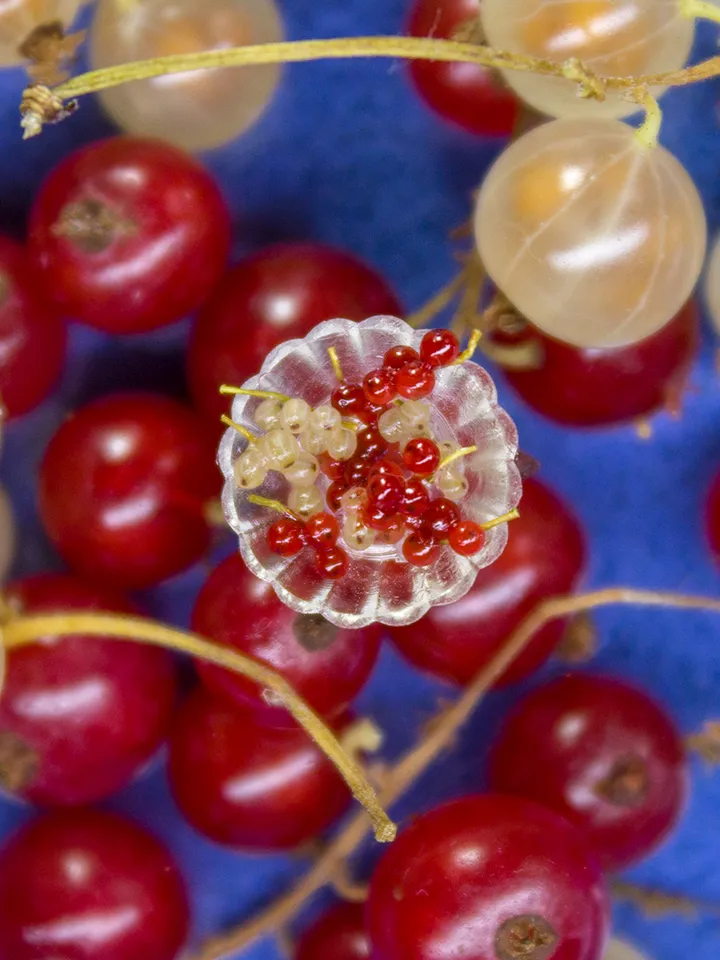 TUTORIAL Miniature red currants with polymer clay