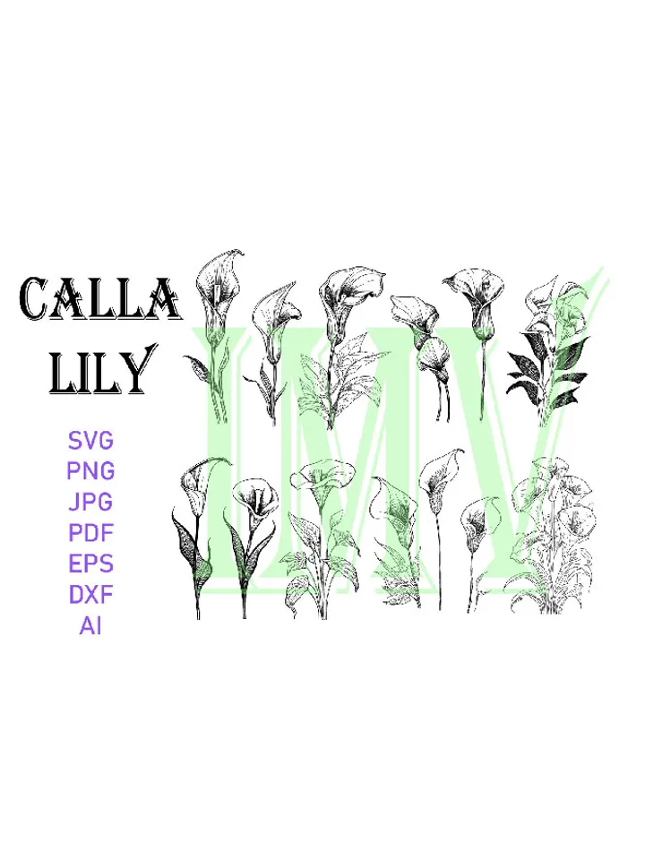 Calla Lily SVG, Callas Flower SVG Bundle, Botanical Clipart PNG, Calla Bouquet Eps, Wedding Invitation Flowers, Silhouette