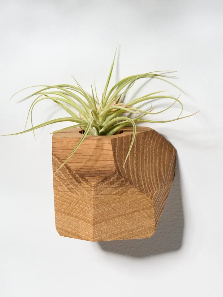 Set of 4 White Oak Geometric Air Plant Holder