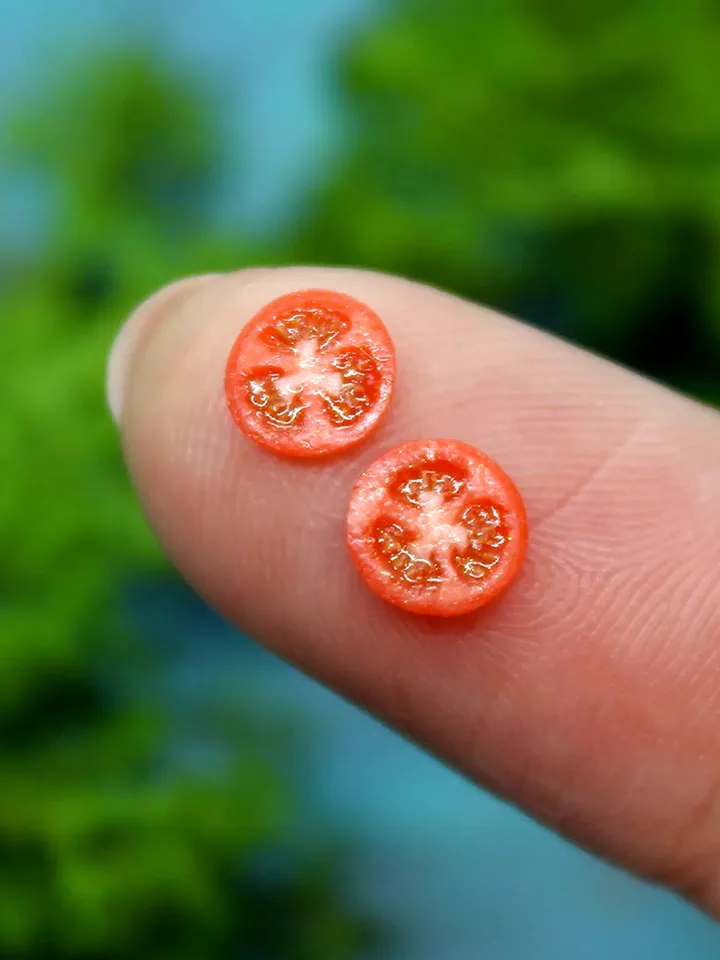 TUTORIAL Miniature polymer clay tomato cane