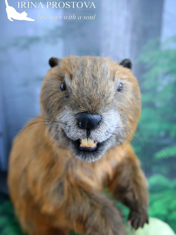 Beaver Boris realistic plush toy