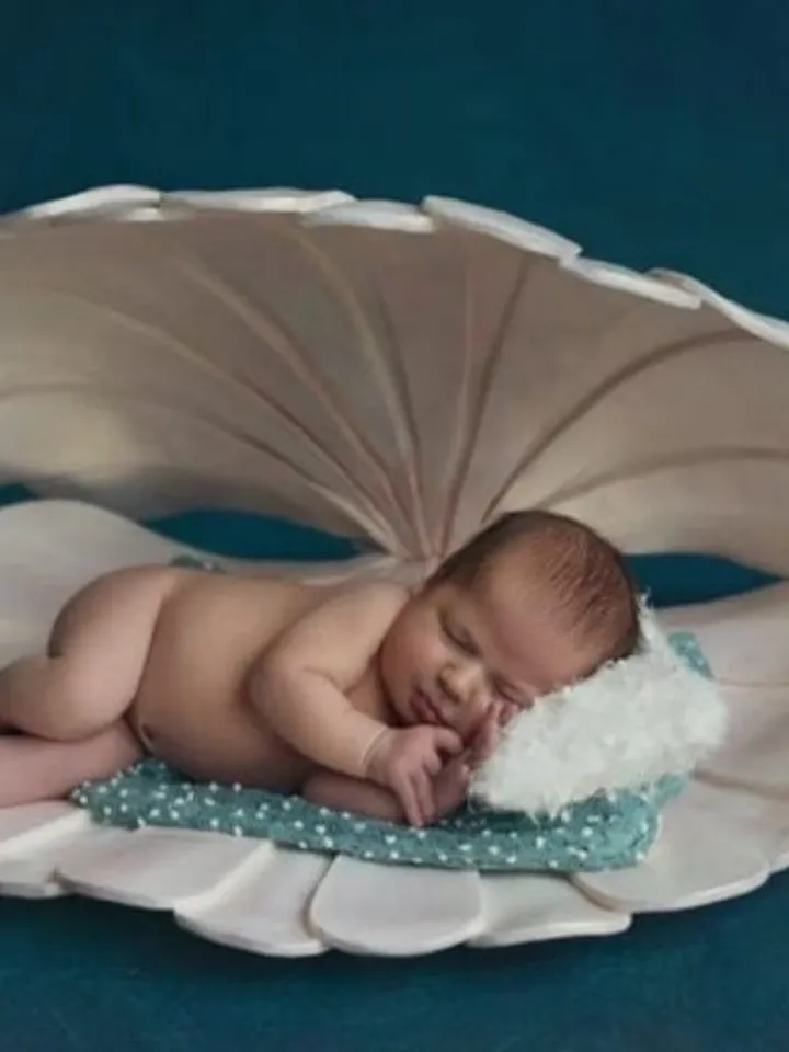 Baby shell for newborn photo shoots-Newborn photo props-giant shell newborn photography-baby newborn props-Prop newborn.