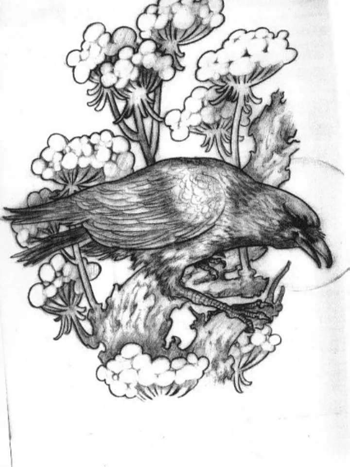 Felipe Andrade. Sketches & drawings
