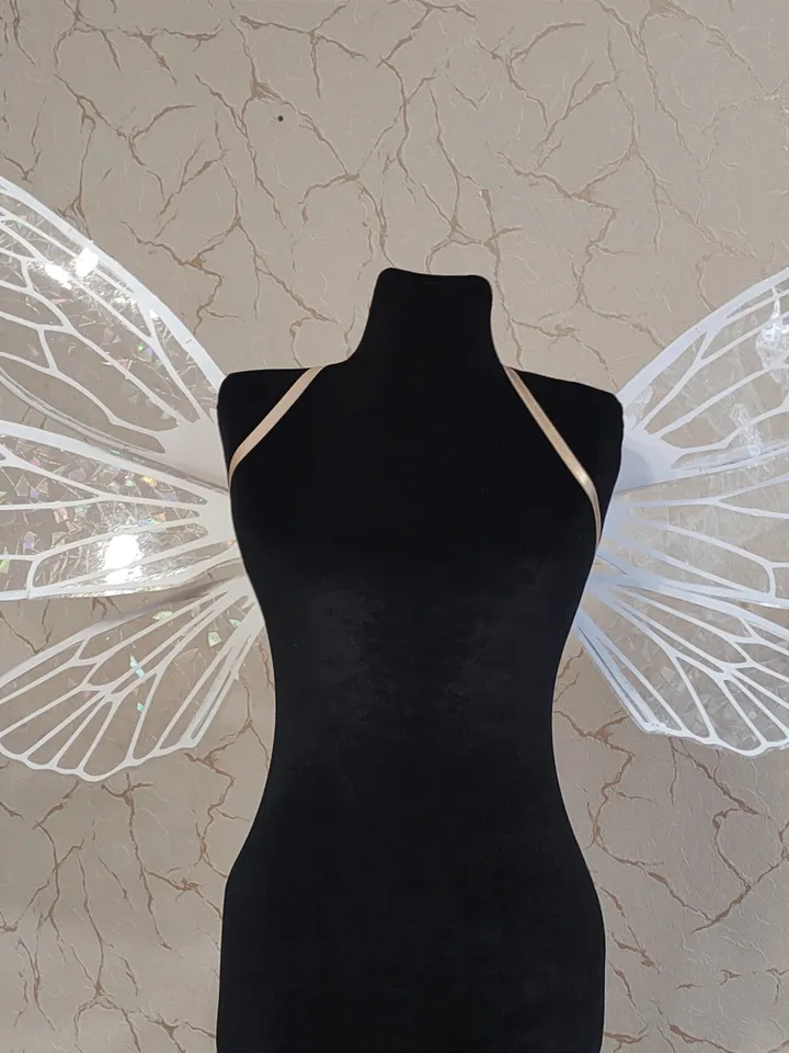 Rainbow holographic fairy wings