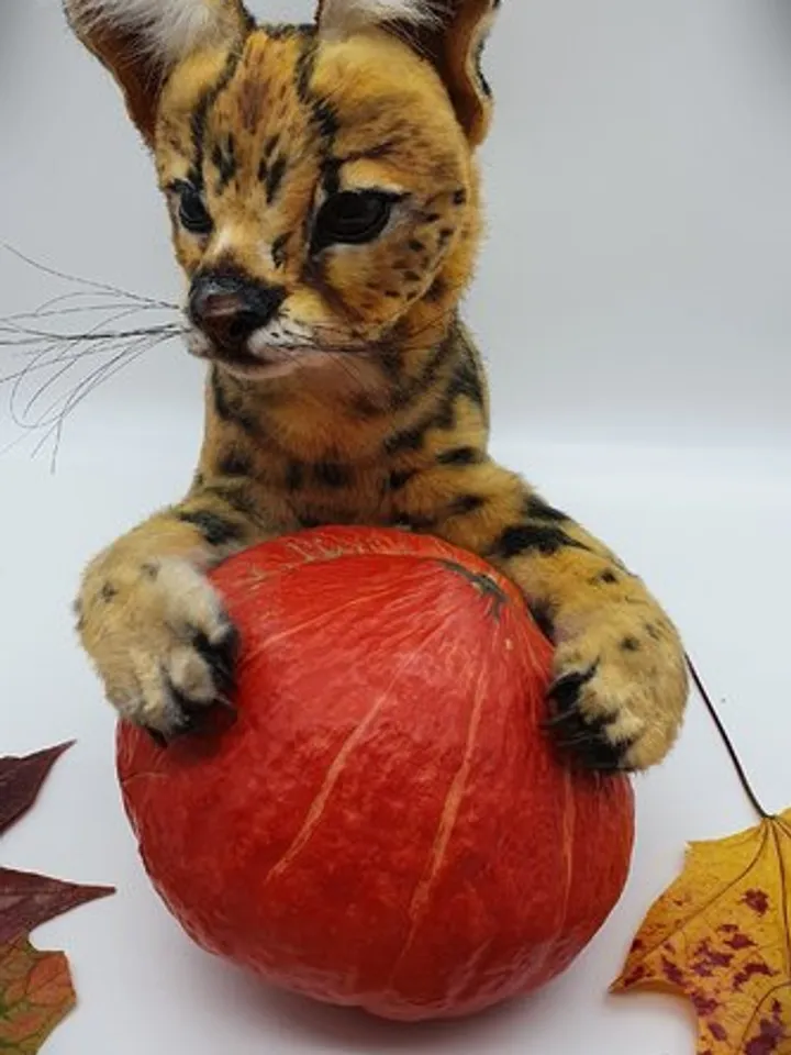 Sewing PATTERN Serval Toy-Collectible Toy - Posing Toy- Serval Toy