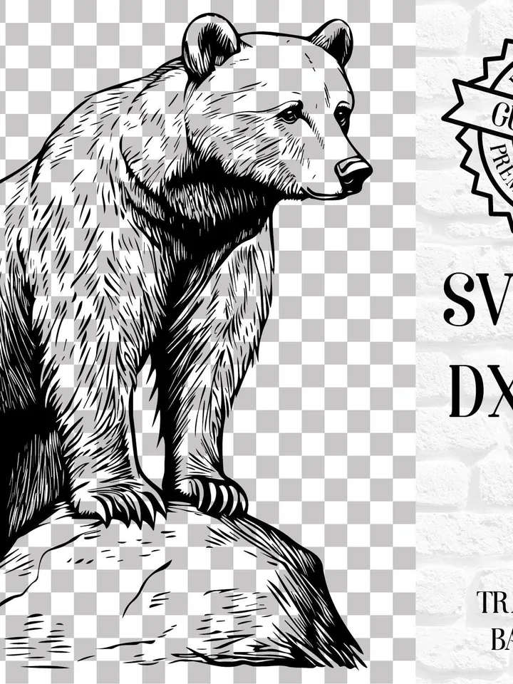 Vector 20 Bear Design Bundle forest Bear PNG for Sublimation Bear SVG file for cricut, Wild Bear Laser Cut file for engraving, Prints