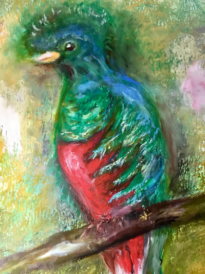 Quetzal bird,original oil pastel painting,exotic birds painting,colourful oil pastel painting,affordable art,wall decoration gift.
