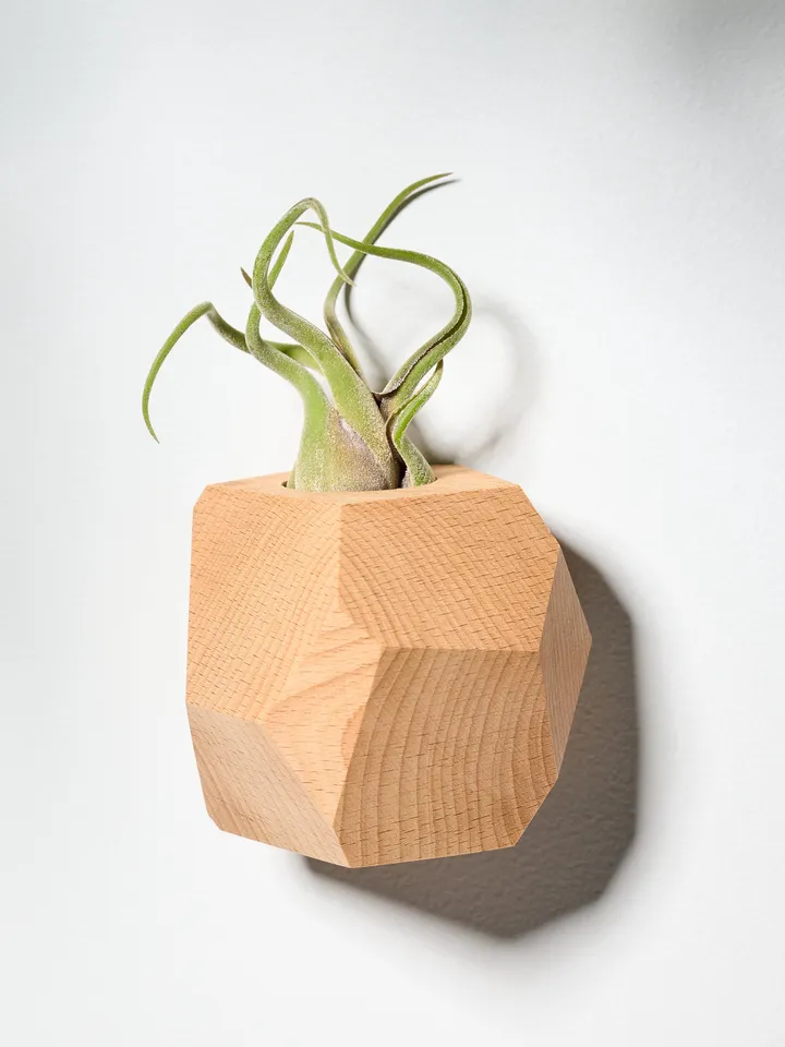 Set of 4 Beech Wood Geometric Air Plant Holder