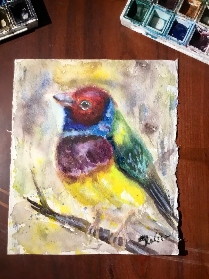 Bullfinch bird,colourful bird watercolor original painting,birds painting,small painting gift,kids room wall hanging,home decoration.