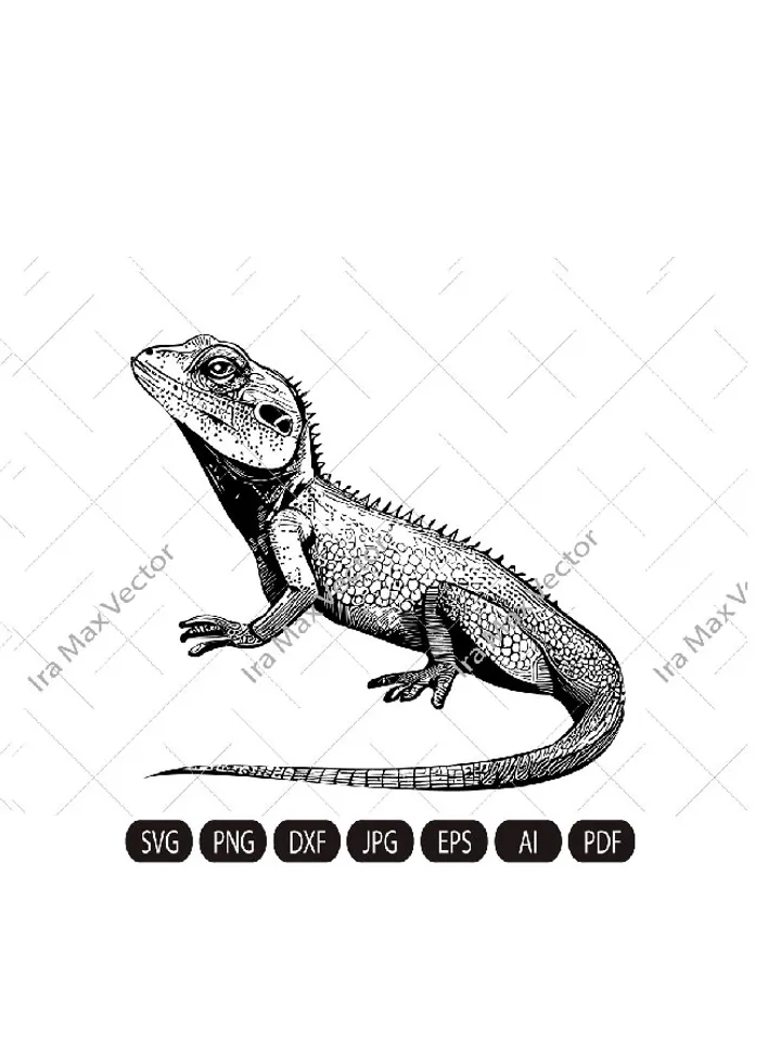Cute lizard svg,lizard face svg,lizard sitting, iguana face svg png, cute CHAMELEON SVG, Reptile Animals