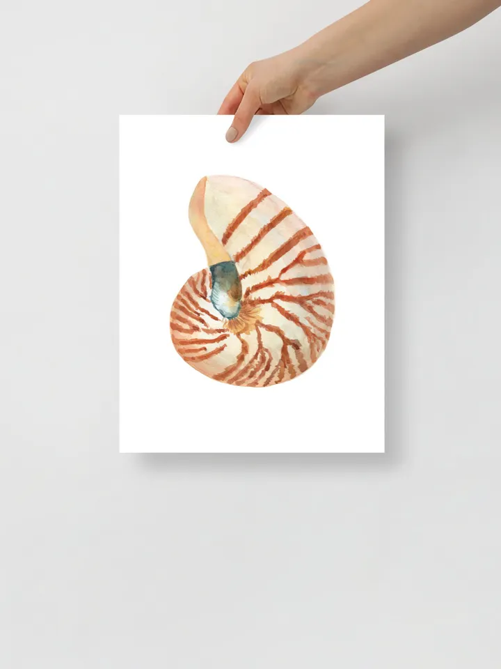 Shells, Shell art,Sea Shell Art, Shell Decor, Beach Cottage Art, Sea Shells Painting, Marine, Coastal Decor, Beach House art, Beach Artt,