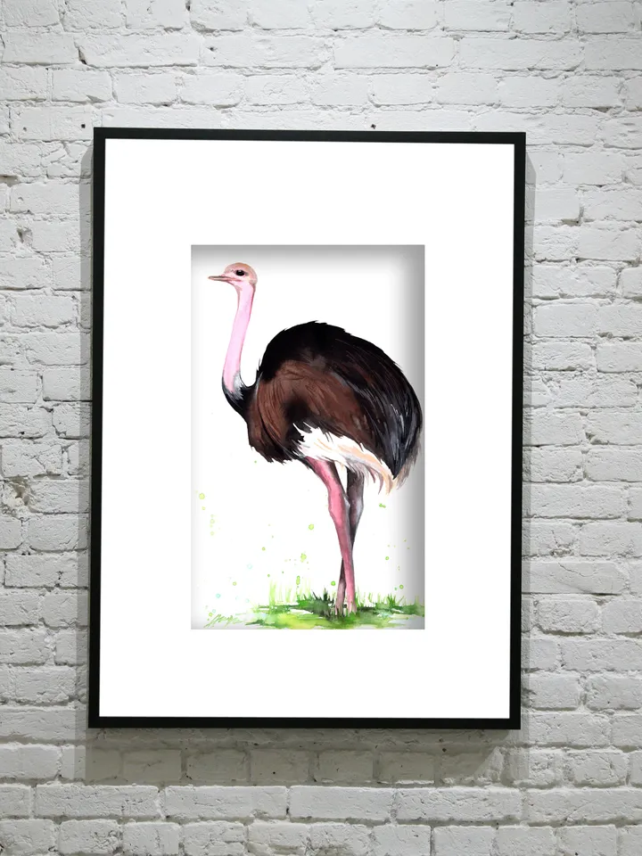 Ostrich Original watercolor, bird painting, wall decor, 8x11 in handmade art by Anne Gorywine