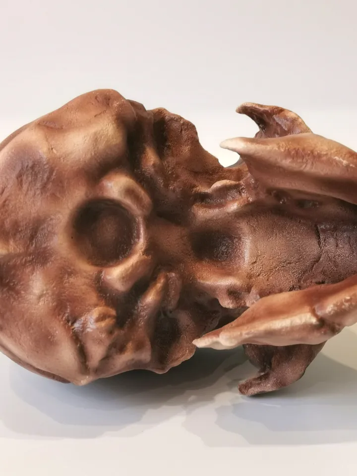 Homo Naledi Skull Replica of DH1 Find, Prehistoric Fossil Collection, Realistic Hominid Skull, Museum Quality