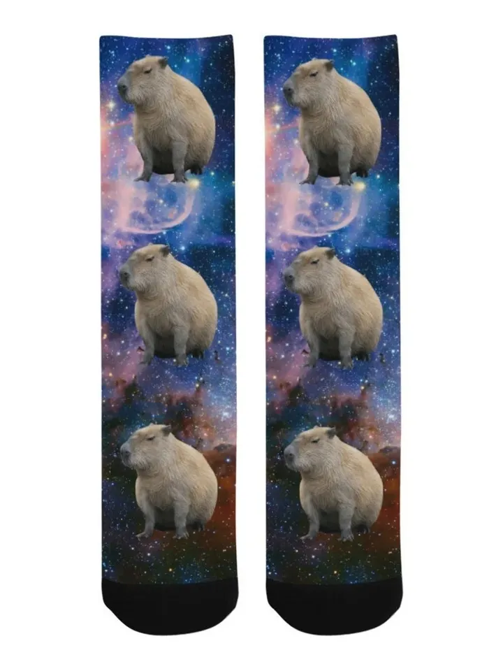 Capybara Socks, Capybara in Space Socks - Space Socks - Galaxy Socks