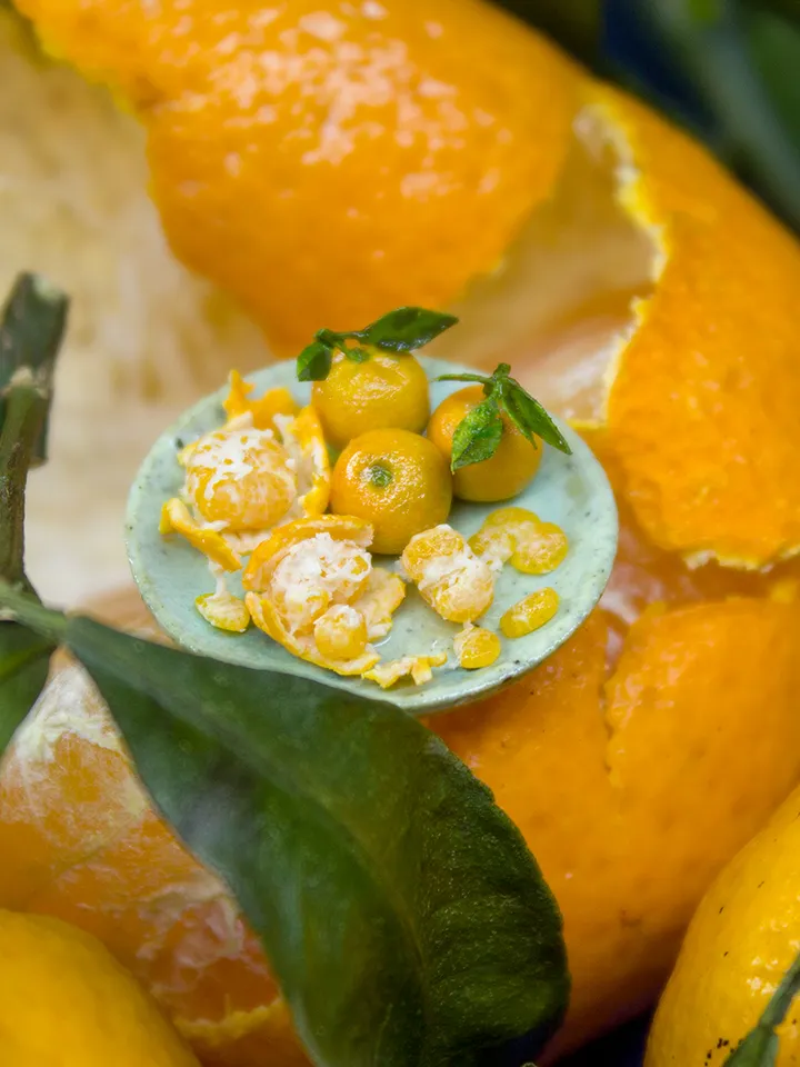 TUTORIAL Miniature mandarin with polymer and air dry clay