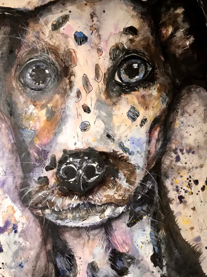 Dalmatian dog original watercolour painting,funny animals painting,dog wall decoration.watercolour wall art,kids room decoration.