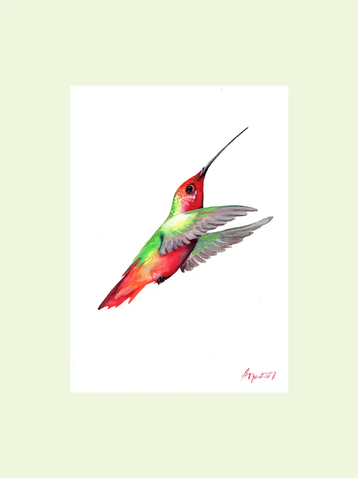 Hummingbird original watercolor, birds painting, wall room decor, 7x10 in art for bird lovers by Anne Gorywine